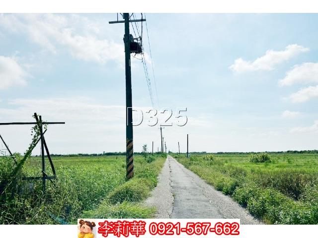 台南農地-4