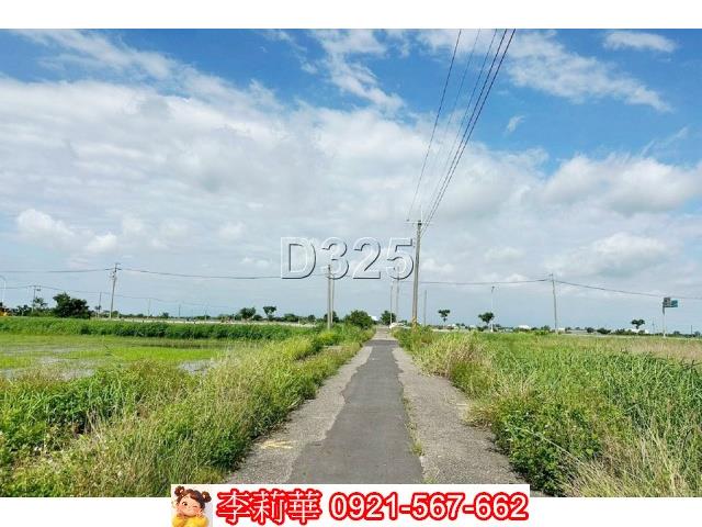 台南農地-5