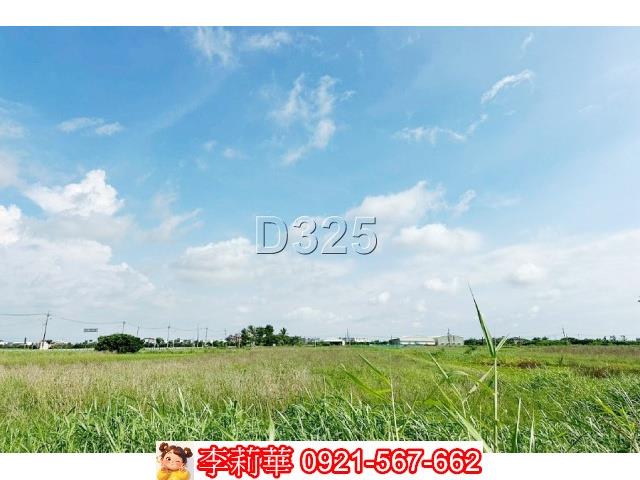 台南農地-6