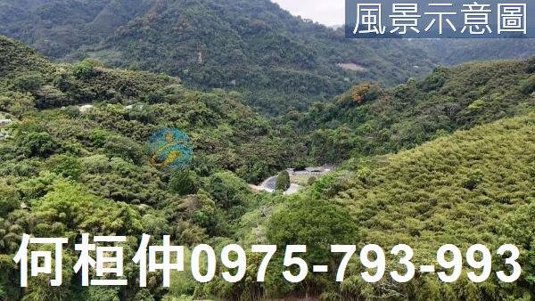 苗栗農地-2