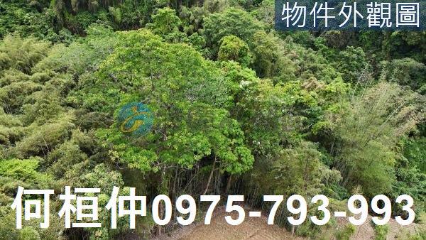苗栗農地-5