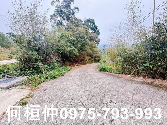 苗栗農地-10