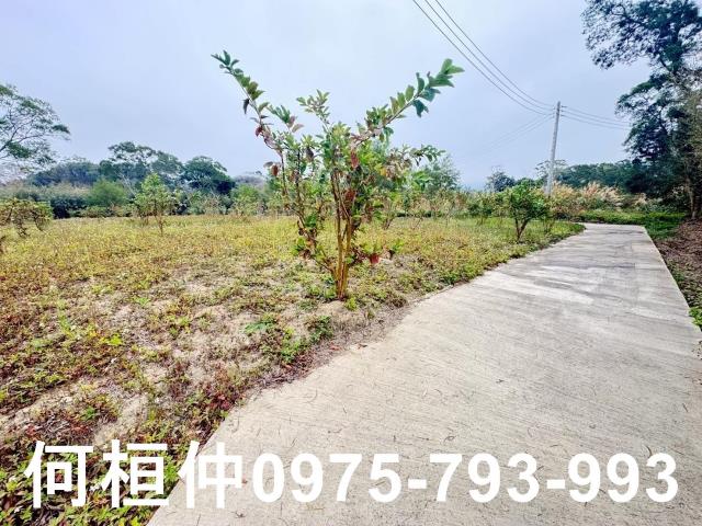 苗栗農地-11
