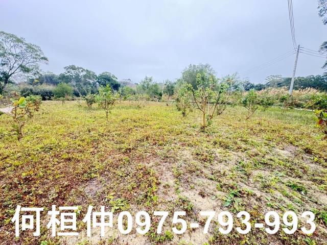 苗栗農地-2