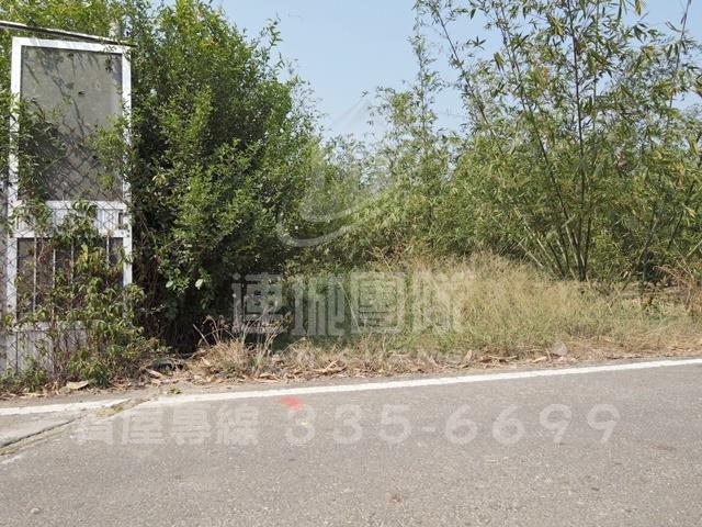 台南農地-1