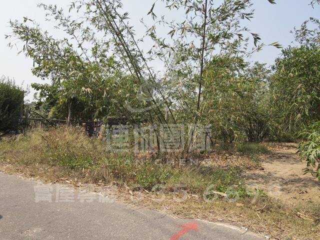 台南農地-3