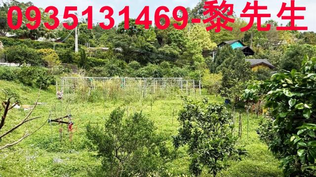 新竹峨眉農地-2