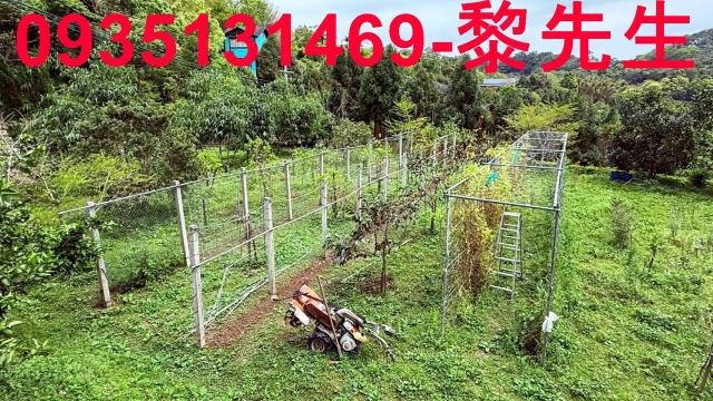 新竹峨眉農地-3