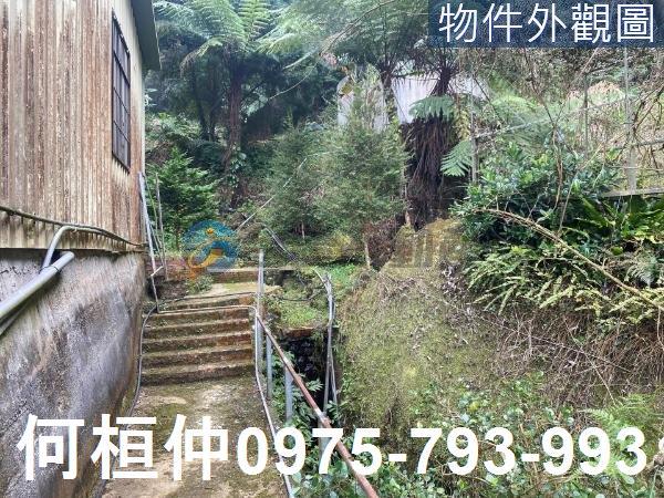 苗栗大湖農地-6