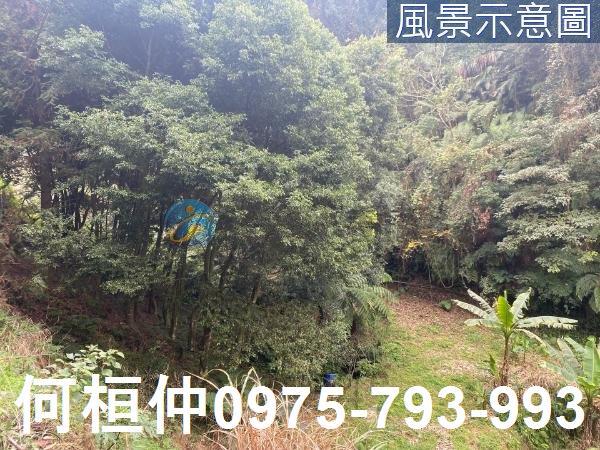 苗栗大湖農地-8