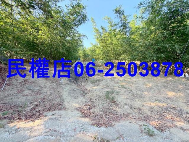 台南龍崎山坡地-12