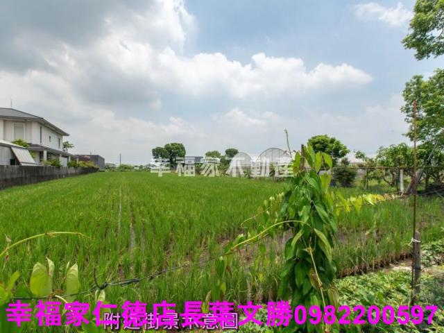 台南歸仁農地-1