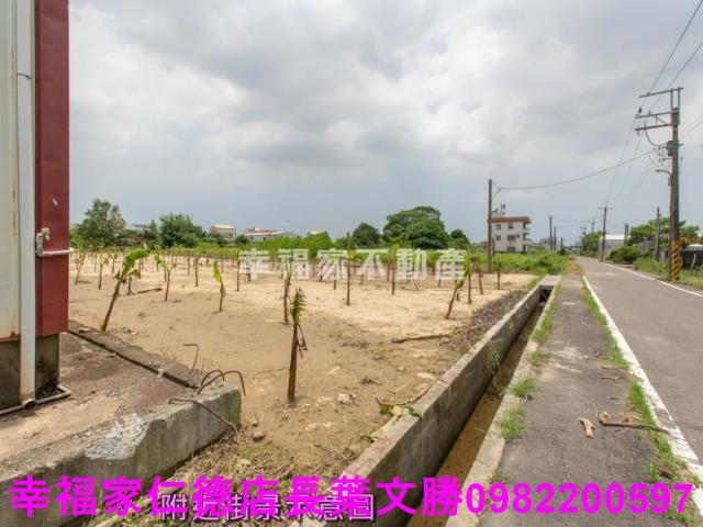 台南歸仁農地-5