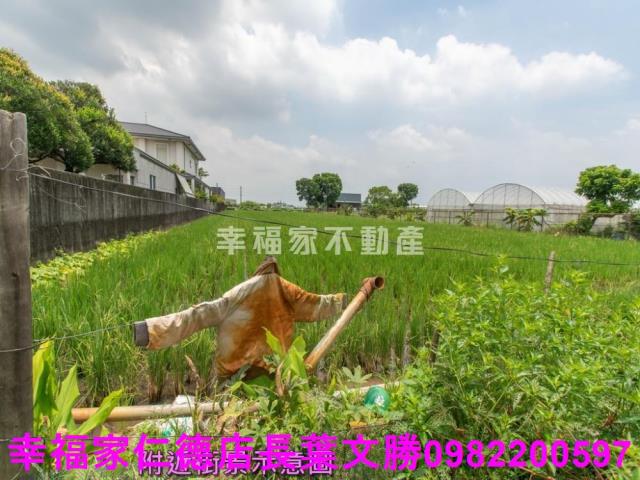台南歸仁農地-8