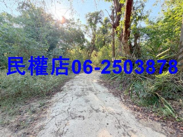 台南龍崎山坡地-9