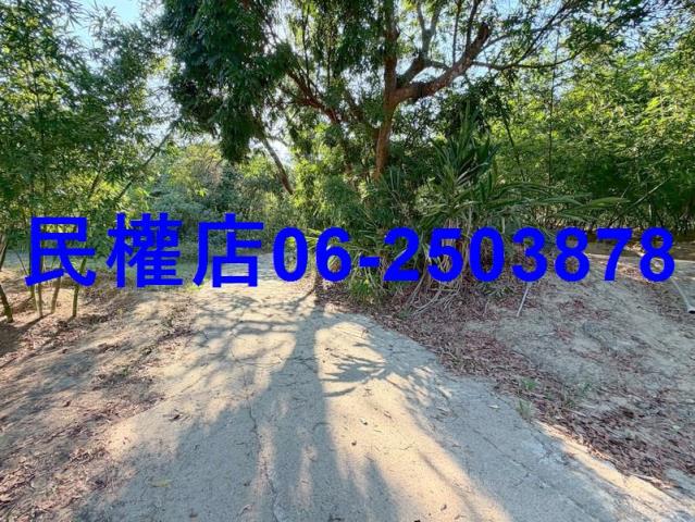 台南龍崎山坡地-11