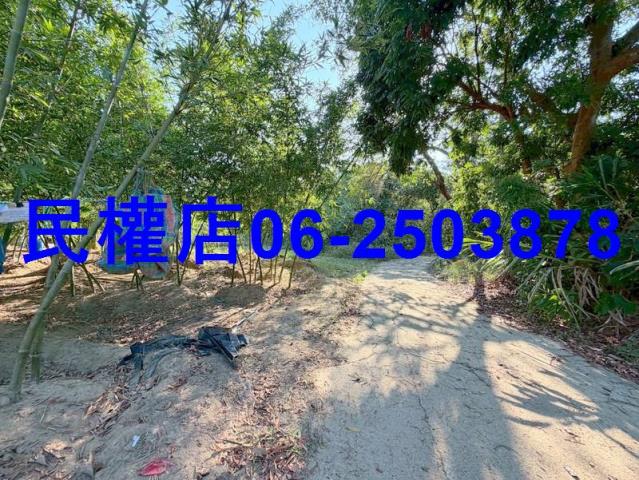 台南龍崎山坡地-14