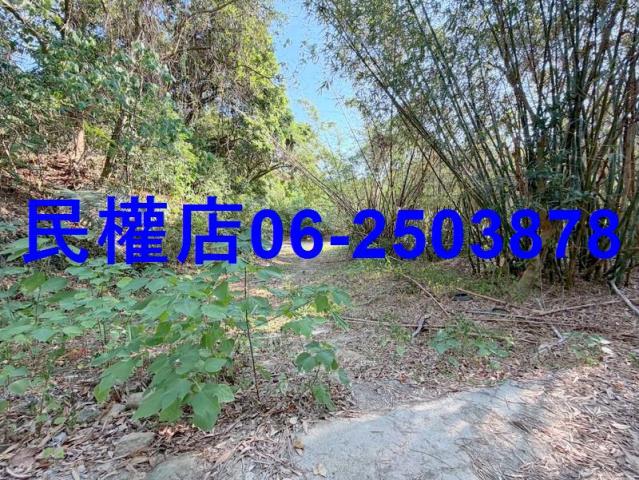 台南龍崎山坡地-5