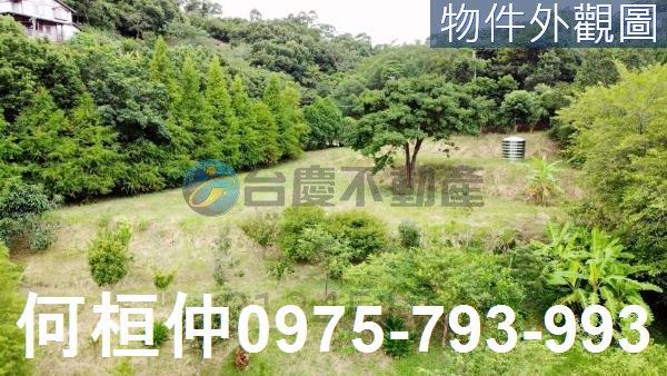苗栗三灣農地-1
