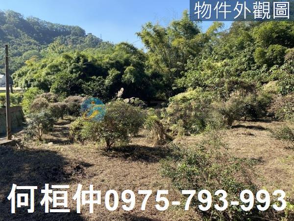 苗栗公館農地-1