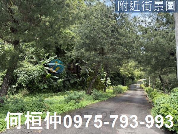 苗栗三灣農地-2