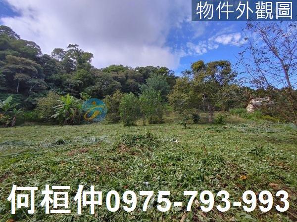 苗栗三灣農地-5