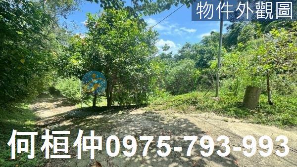 苗栗三灣農地-3