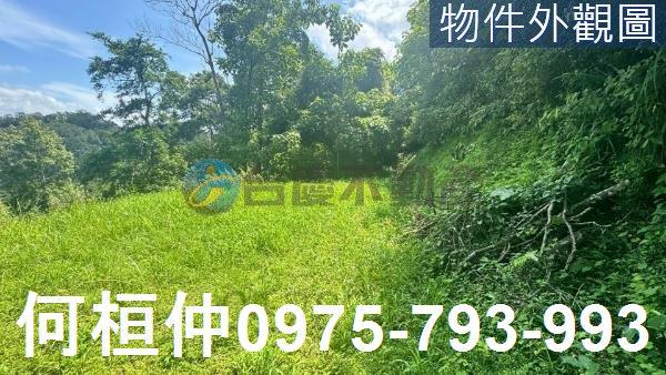 苗栗三灣農地-4