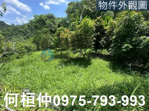 苗栗三灣農地-7