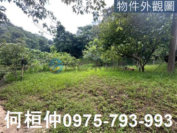 苗栗三灣農地-8