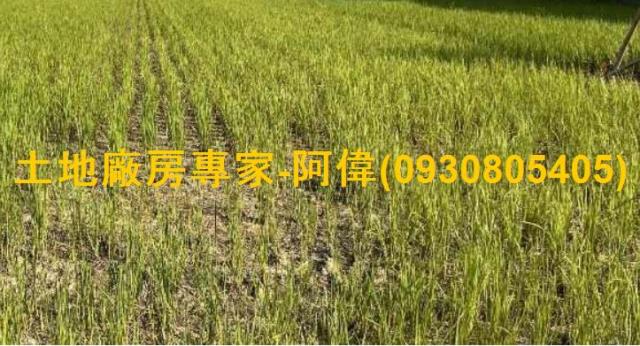 高雄鳥松農地-1
