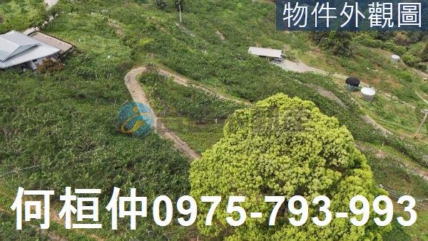 苗栗大湖農地-1