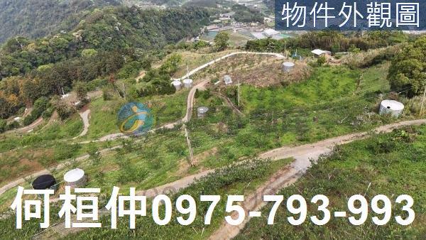 苗栗大湖農地-2