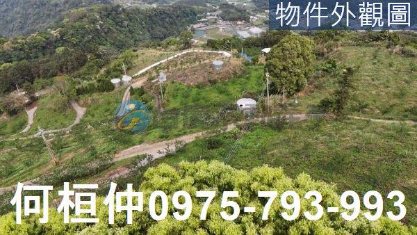 苗栗大湖農地-4