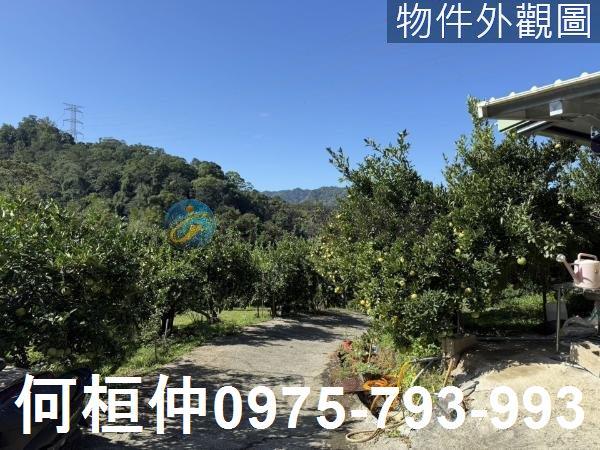 苗栗獅潭農地-1