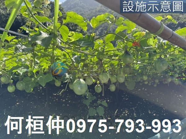 苗栗獅潭農地-3