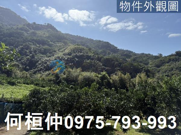 苗栗獅潭農地-6