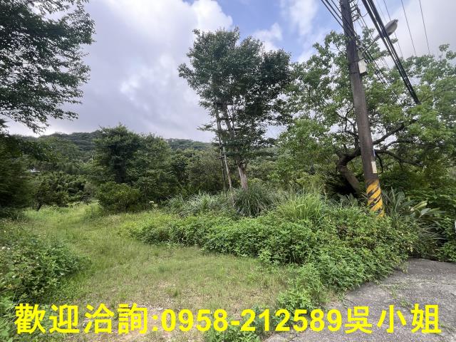 湖口農地-11