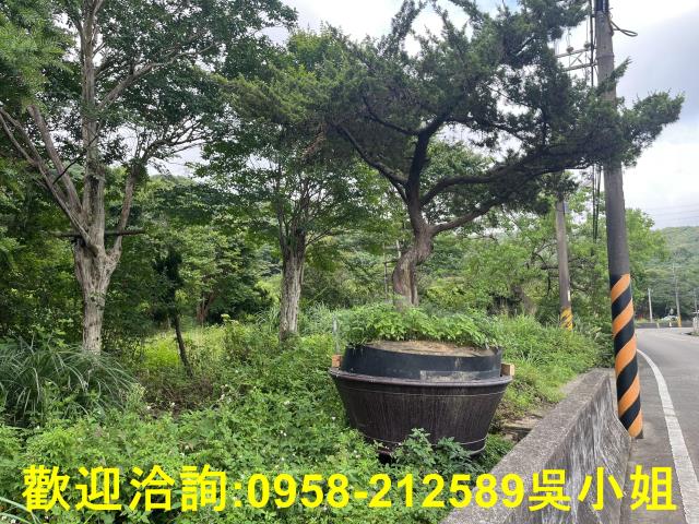湖口農地-15