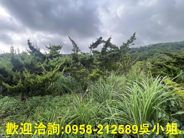湖口農地-2
