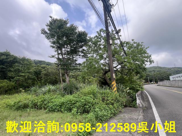 湖口農地-3