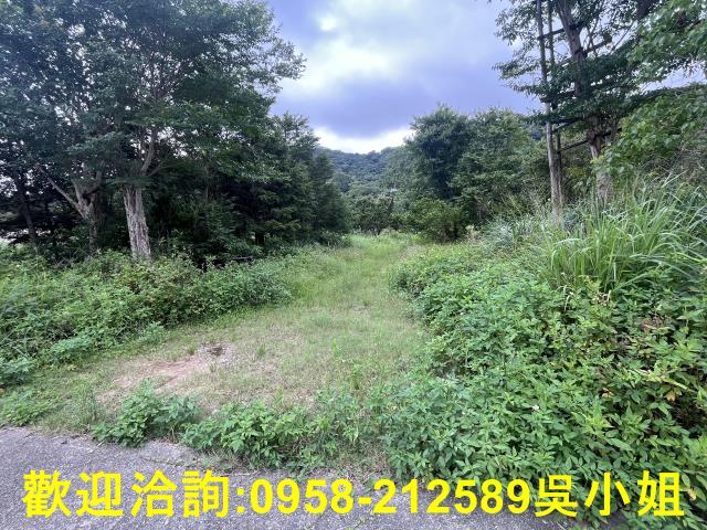 湖口農地-5