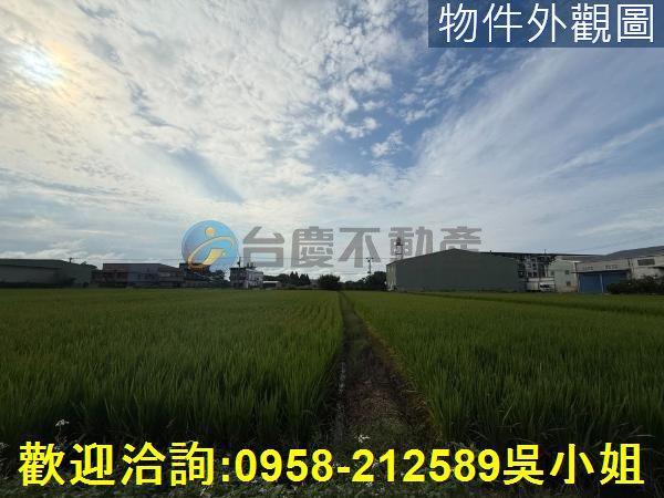 楊梅農地-1