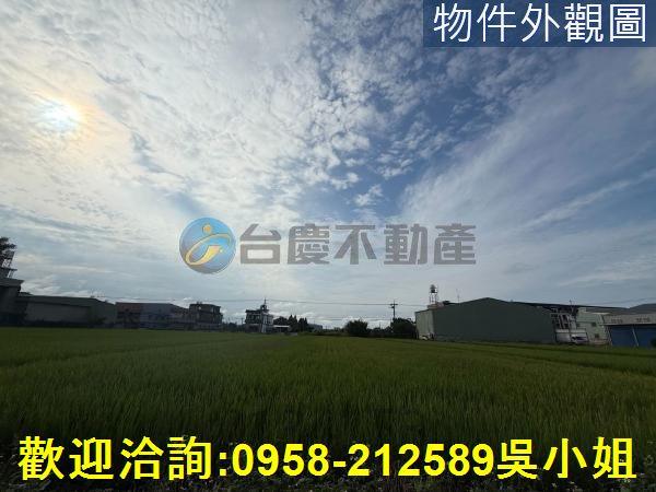 楊梅農地-2