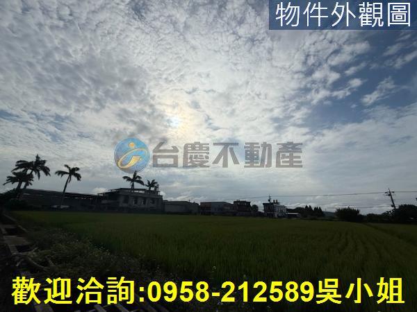楊梅農地-3