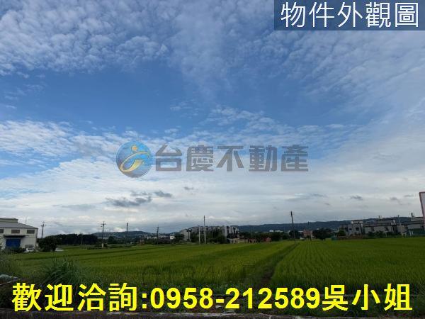 楊梅農地-6