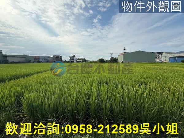 楊梅農地-7