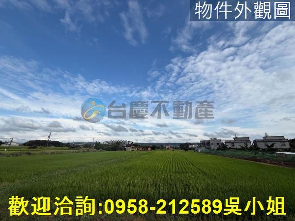 楊梅農地-8
