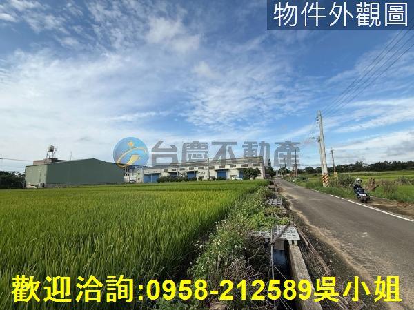 楊梅農地-9