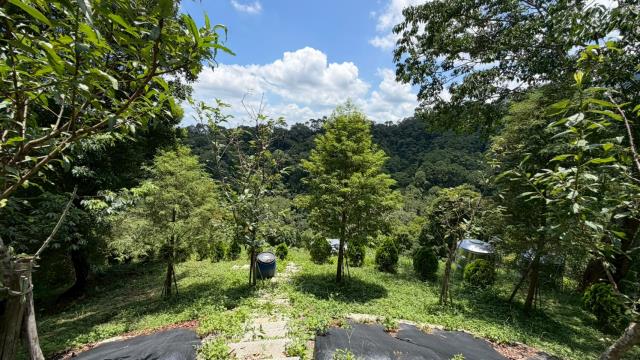 北埔農地-14
